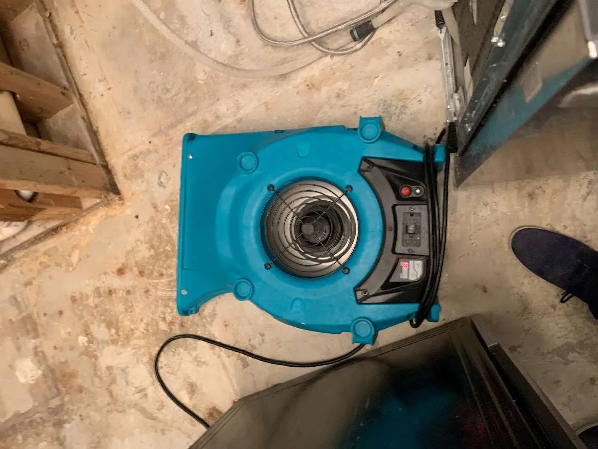 Air mover drying equipment for Mold Remediation & Removal in Cave Springs